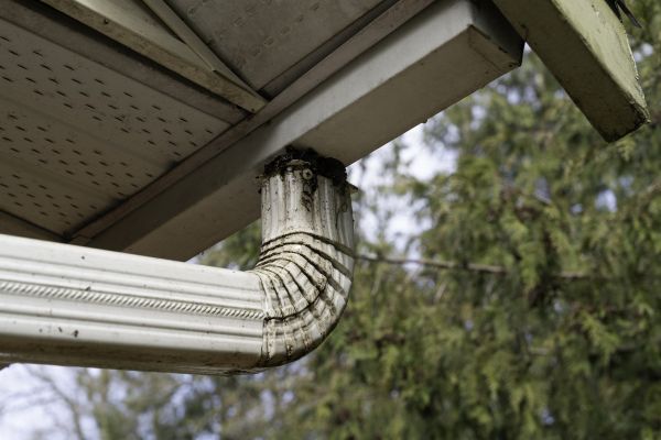 Roof Drain Replacement in Glendale